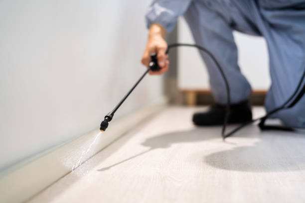 Bed Bug Pre-Treatment Preparation Assessment in Chesapeake