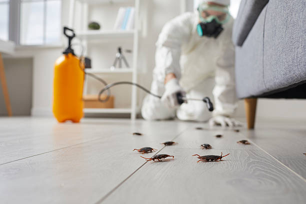 Post-Treatment Bed Bug Interceptor Monitoring in Chesapeake